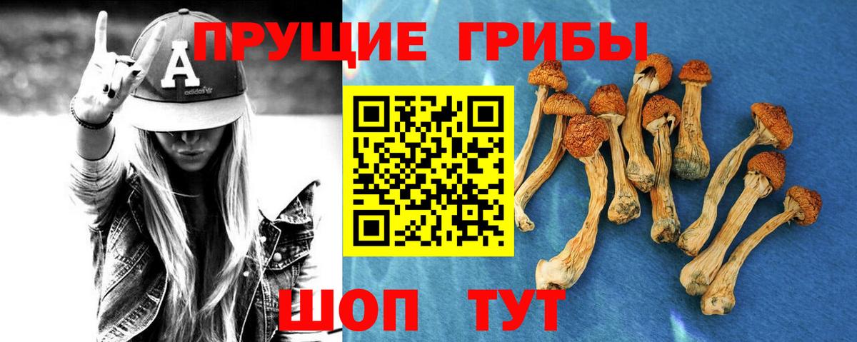 Кирово-Чепецк  Псилоцибиновые грибы мухоморы  Вход с VPN 